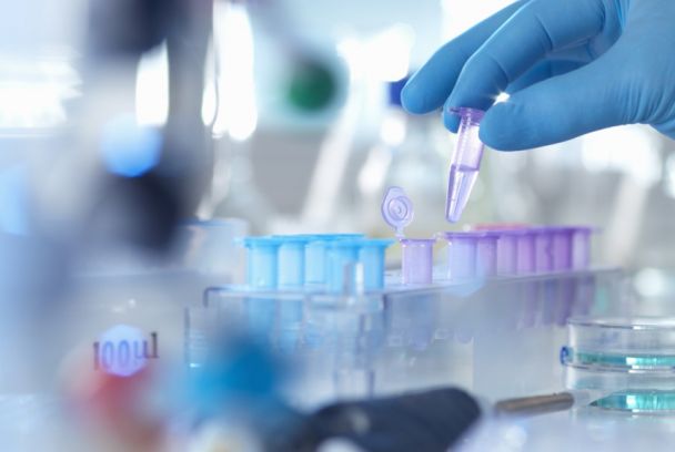 Catástrofe clínica