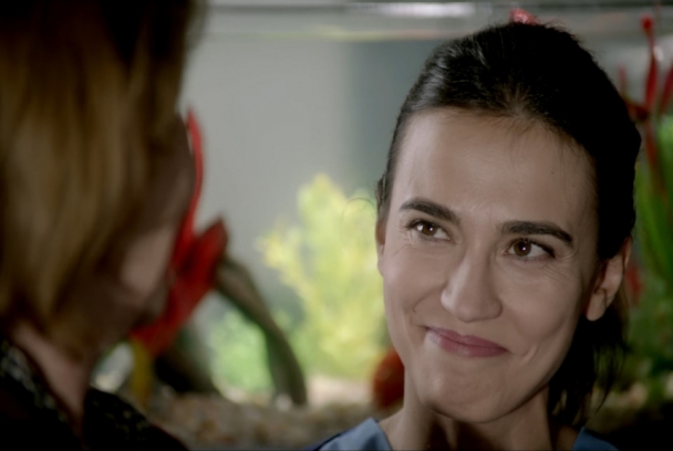 Todos los animales se mueren siempre