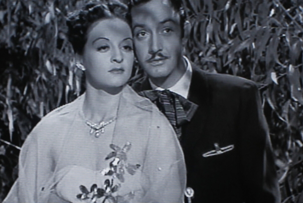 Cuando viajan las estrellas