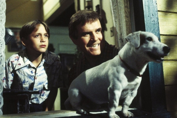 Sucede en las mejores familias