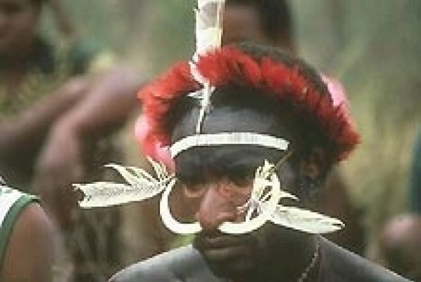 Los últimos indígenas