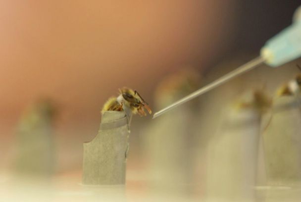 Los nuevos secretos de nuestra herencia