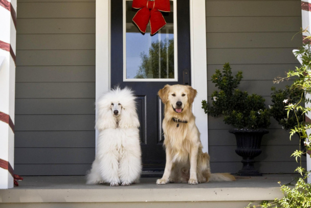 Y por fin nos casamos