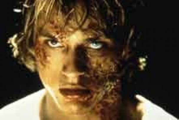 En lo profundo del bosque