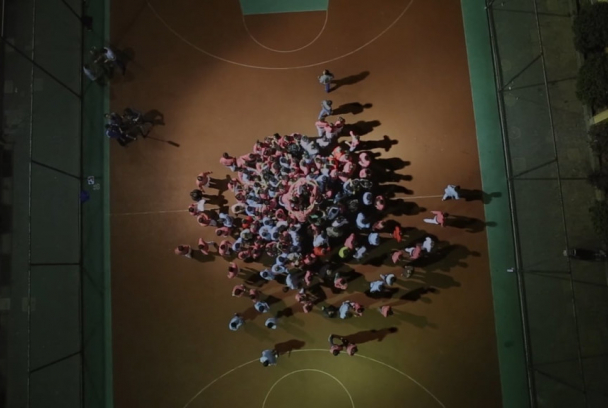 El jardí de les flors del presseguer