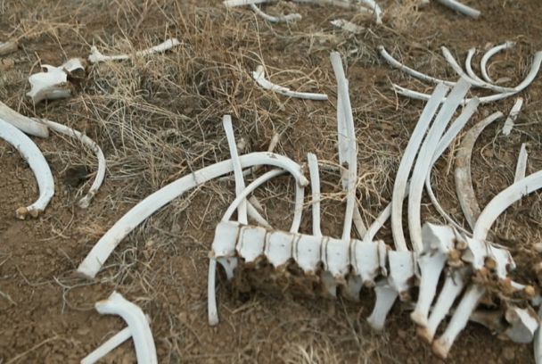 Expediente no resuelto