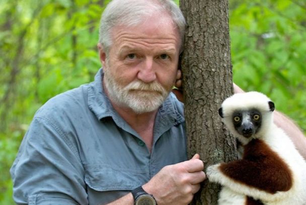 Descubriendo a los monos