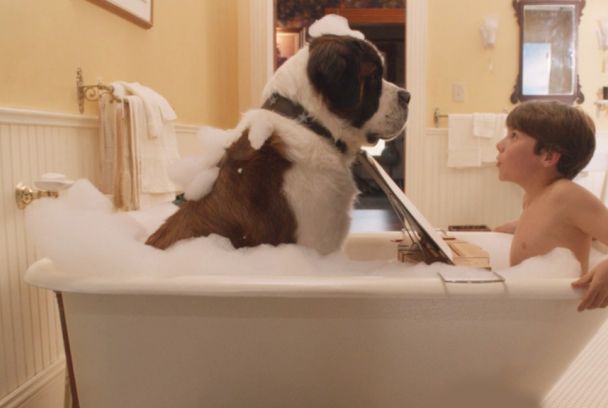 Beethoven: La búsqueda del tesoro