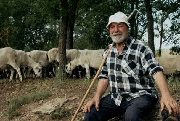 Del carro al twitter