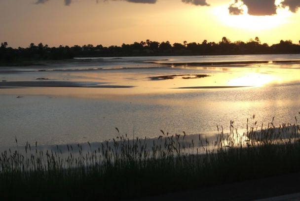 Naturaleza en movimiento