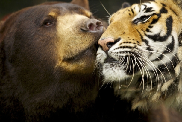 ¿Parejas imposibles?