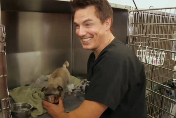 Hospital de mascotas