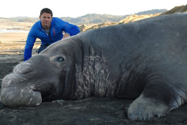 Animales supergigantes 