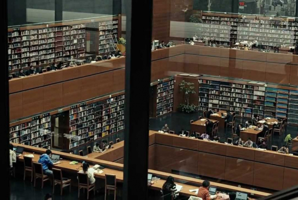 Google y el cerebro mundial