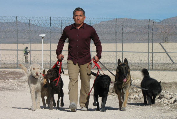 El encantador de perros