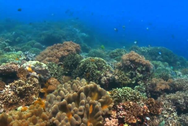 Grandes documentales