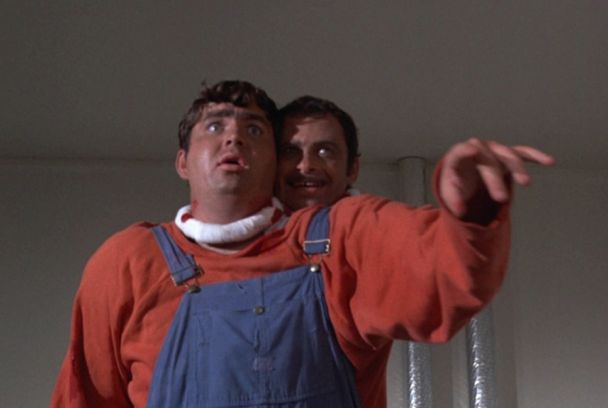 El increíble trasplante bicéfalo