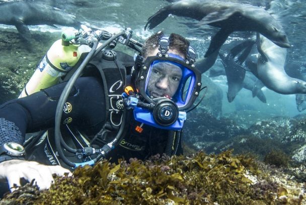 Nadando entre monstruos