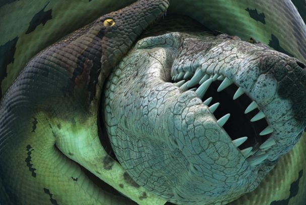 Titanoboa , ¿monstruo o serpiente?