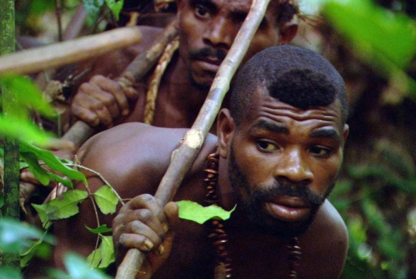 Pigmeos, la agonía del Dios Verde