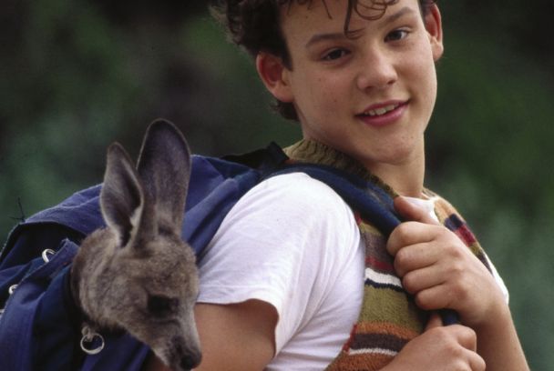 Joey, un canguro en la ciudad