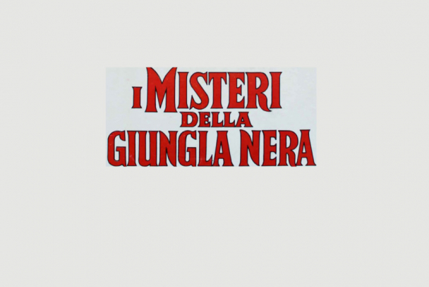 El misterio de la jungla negra