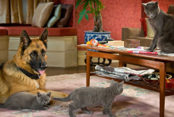 Como perros y gatos: La venganza de Kitty Galore