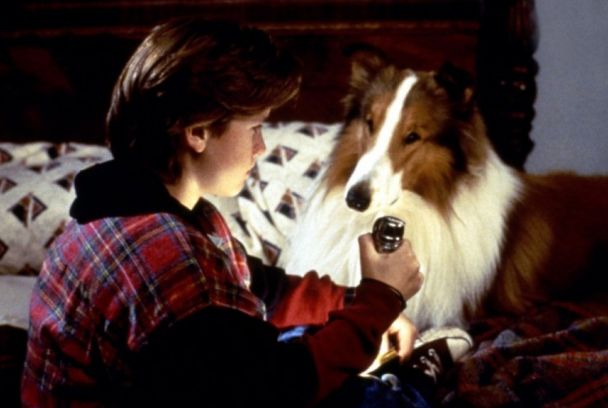 El regreso de Lassie