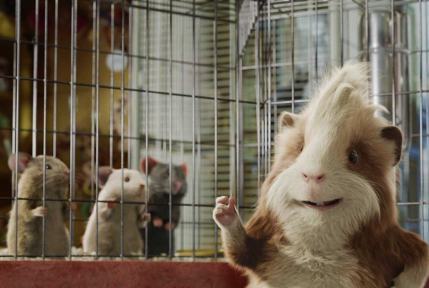 G-Force: Licencia para espiar