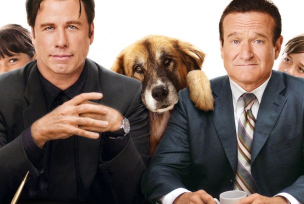 Dos canguros muy maduros