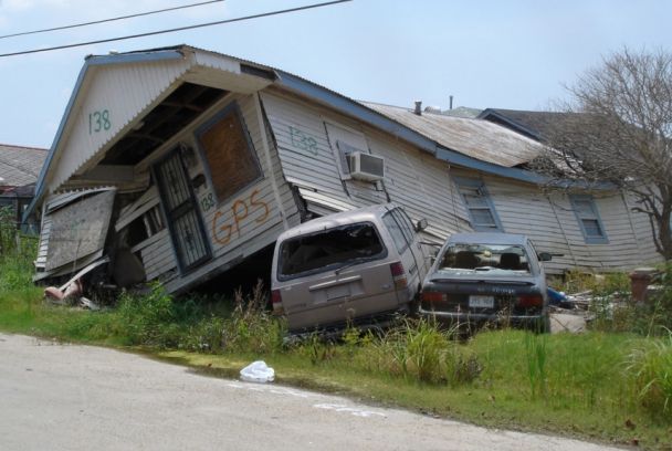 La era de la estupidez