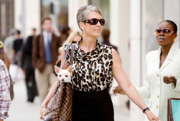 Un chihuahua en Beverly Hills