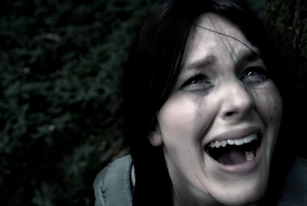 El bosque de los malditos