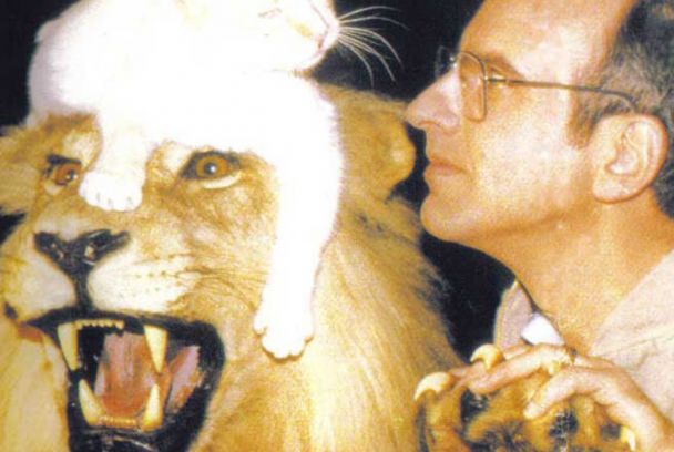 El gato más rico del mundo