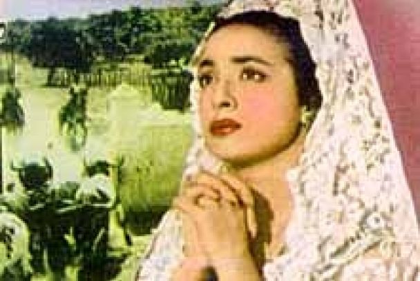 Torero por alegrías