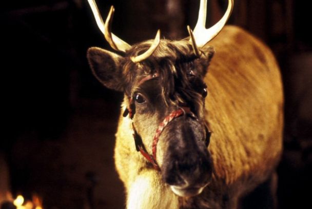 Blizzard, el reno mágico