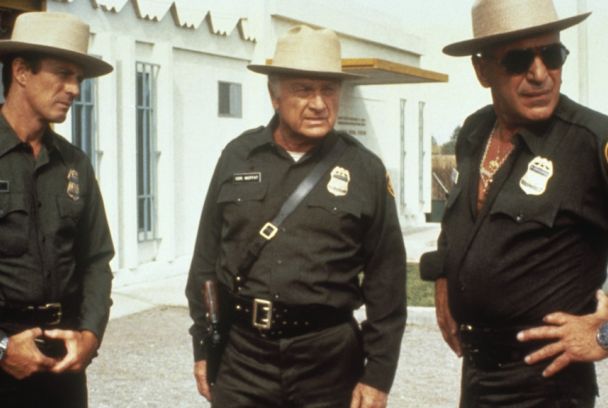 Policía de frontera