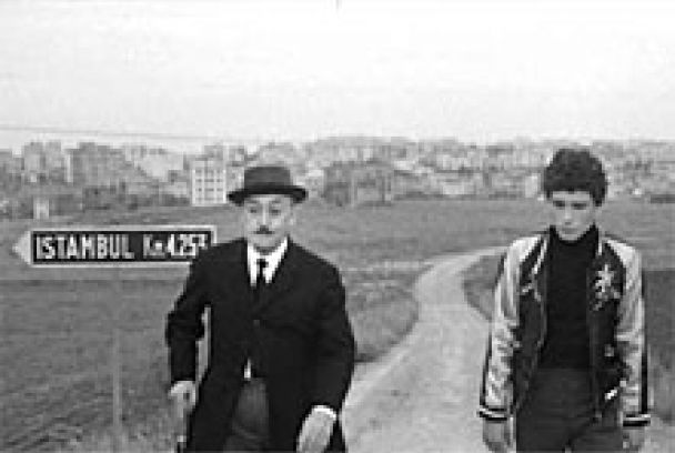 Pajaritos y pajarracos