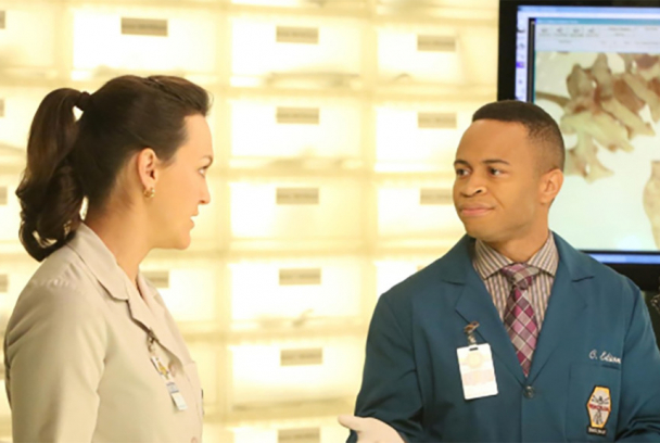 Piñata: Survival Island