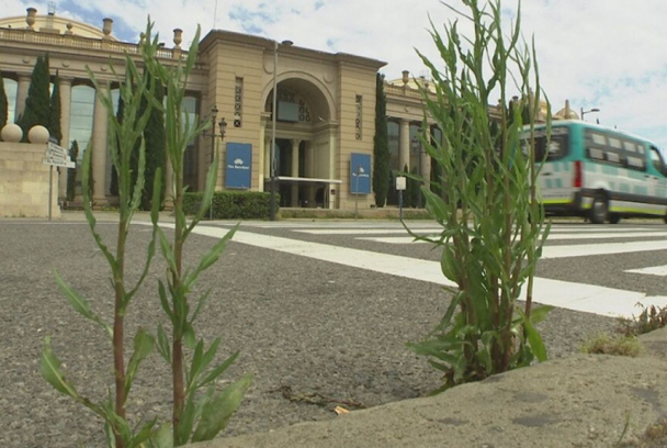 L'endemà. L'economia contagiada