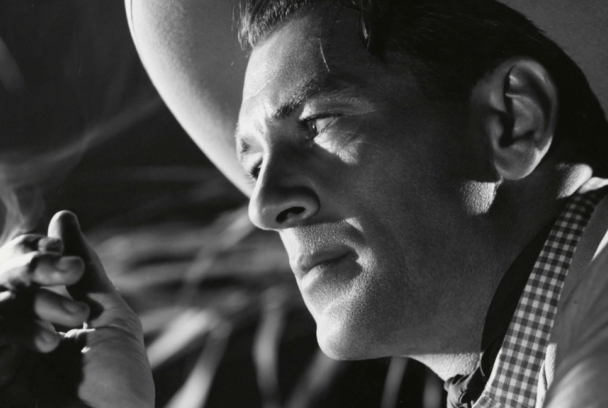 El vaquero y la dama