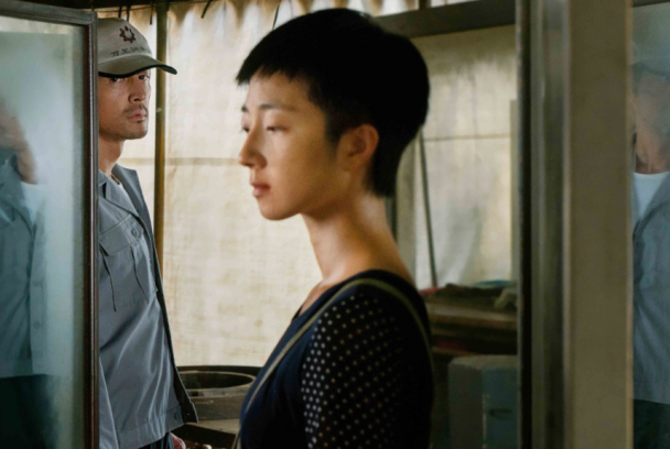 El lago del ganso salvaje