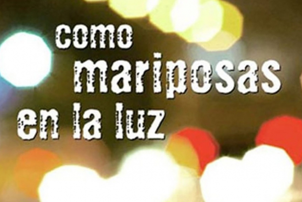 Com papallones sota la llum