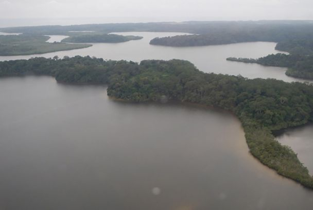 Vida en los grandes humedales