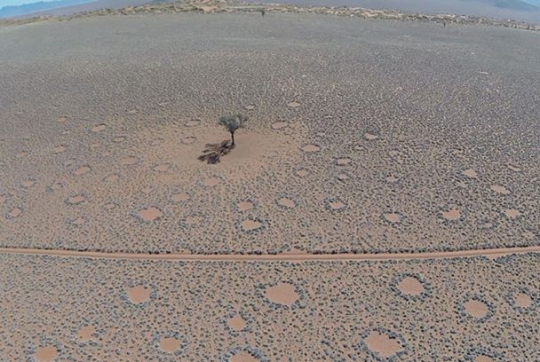 Curiosidades de la Tierra