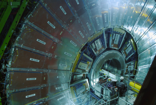 El cazador de cerebros