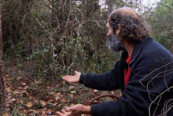 El señor de los bosques