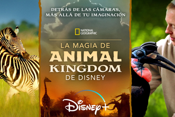 La Magia de Animal Kingdom de Disney